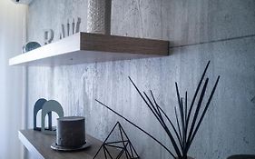 Raw Industrial City Apartment